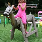 Urlaub Am Bauernhof Gaenser Sankt Peter am Kammersberg