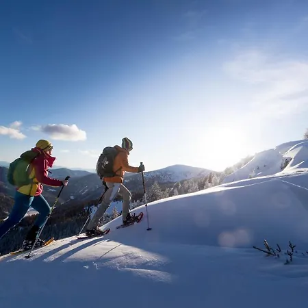 Urlaub Am Bauernhof Gaenser Sankt Peter am Kammersberg