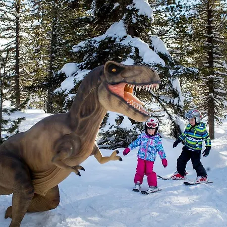 Urlaub Am Bauernhof Gaenser
